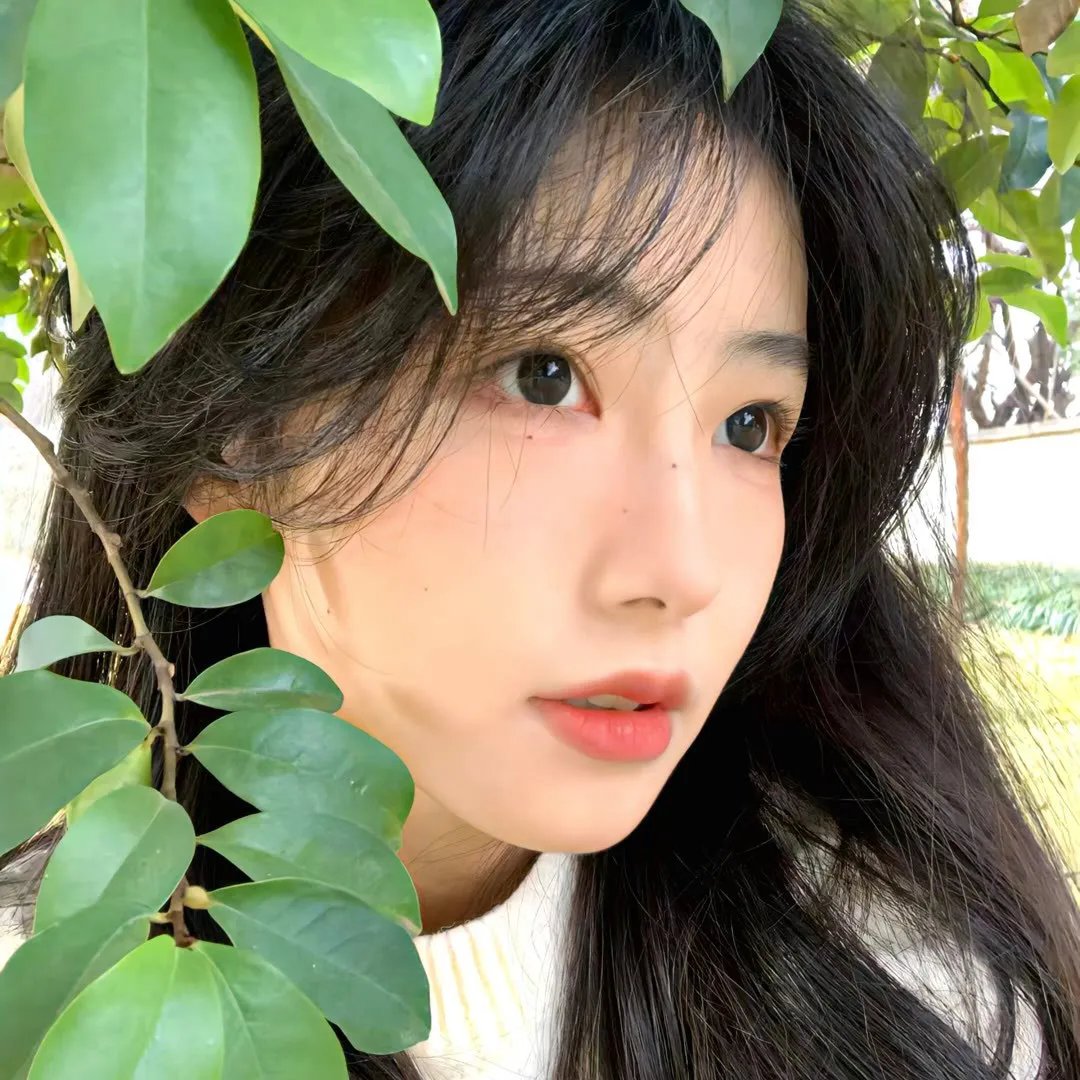 后备空姐